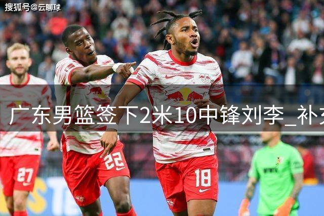 广东男篮签下2米10中锋刘李 补充内线实力